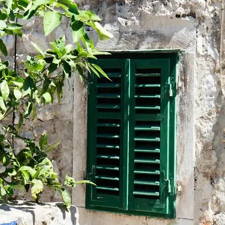 Apartment Bova